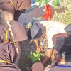 64x64