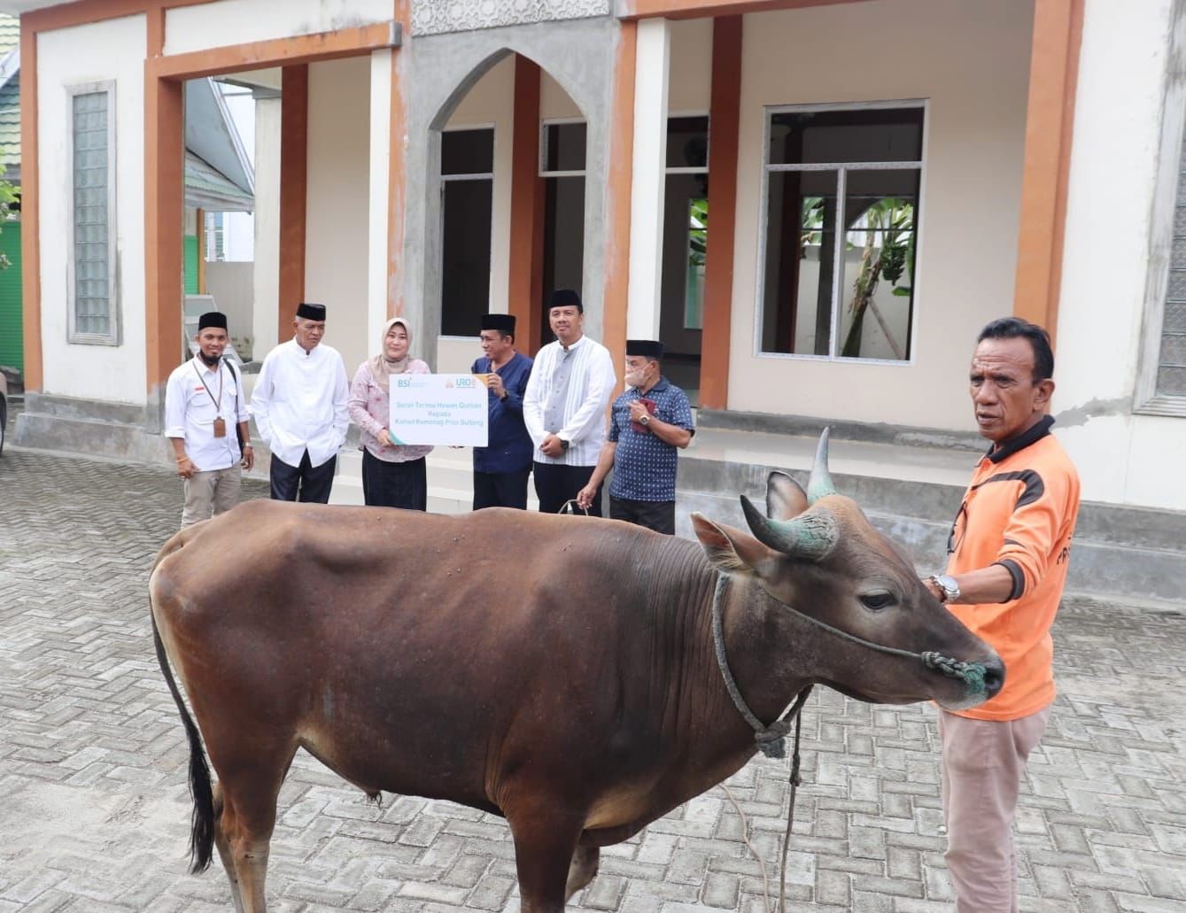 Kemenag Sulteng Menerima Satu Ekor Sapi Dan Bantuan Dana Operasional Masjid Dari BSI 
