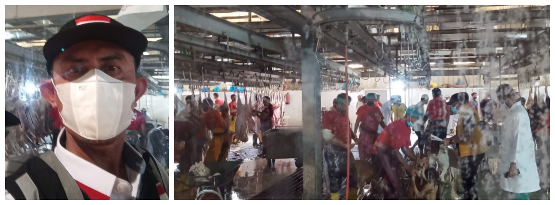 Ratusan Jemaah Haji Kloter BPN-4 Sulteng Selesai Pemotongan Dam